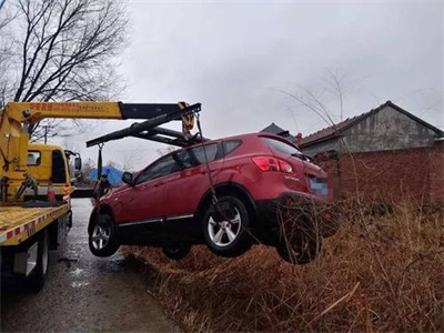 临西楚雄道路救援